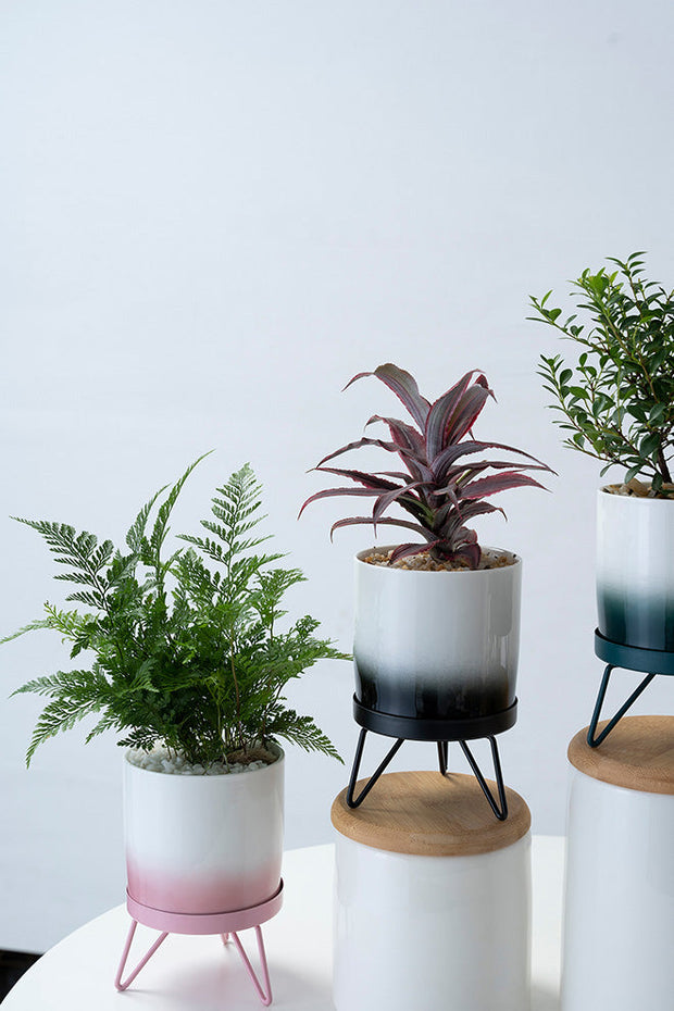 Ceramic Mini Planter Pot