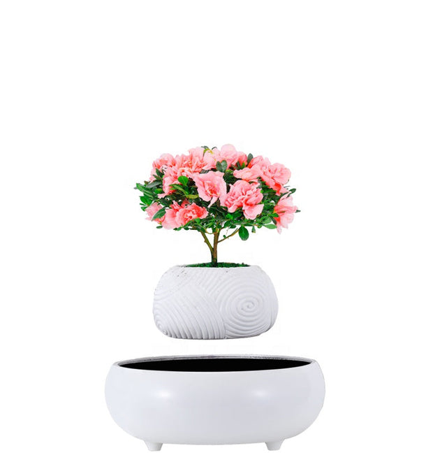 Soothing Cheap Planter Ceramic Pot For Plants Living Room