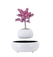 Soothing Cheap Planter Ceramic Pot For Plants Living Room