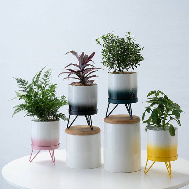 Ceramic Mini Planter Pot